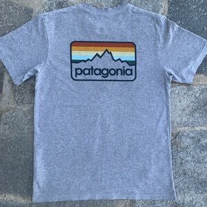 Gray Grey Patagonia Men’s Responsibili-tee
